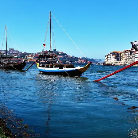 St. Johns Alley Of Poetry And Imaginary Cats * Porto