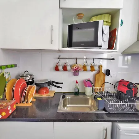 St. Johns Alley Of Poetry And Imaginary Cats *